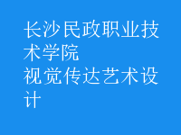視覺傳達(dá)藝術(shù)設(shè)計(jì)
