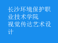 視覺傳達(dá)藝術(shù)設(shè)計(jì)