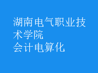會計電算化