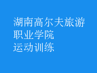 運(yùn)動(dòng)訓(xùn)練