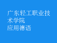 應(yīng)用德語