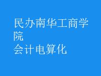 會計電算化