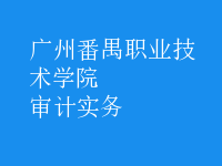 審計實務(wù)