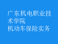 機(jī)動車保險實(shí)務(wù)