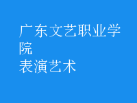表演藝術(shù)
