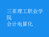 會(huì)計(jì)電算化