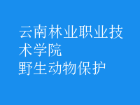 野生動(dòng)物保護(hù)