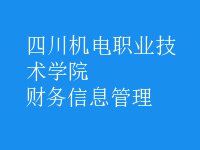 財務(wù)信息管理