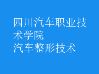 汽車(chē)整形技術(shù)