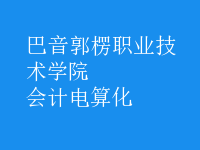 會計電算化
