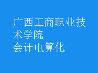 會計電算化