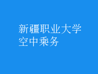 空中乘務(wù)