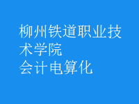 會(huì)計(jì)電算化
