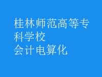 會(huì)計(jì)電算化