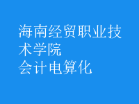 會(huì)計(jì)電算化