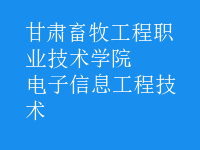 電子信息工程技術(shù)