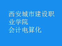 會(huì)計(jì)電算化
