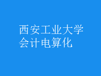 會(huì)計(jì)電算化