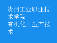 有機(jī)化工生產(chǎn)技術(shù)