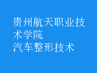 汽車(chē)整形技術(shù)
