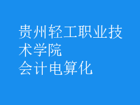 會(huì)計(jì)電算化