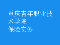 保險實(shí)務(wù)