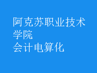 會計電算化