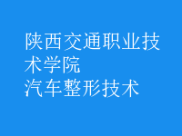 汽車(chē)整形技術(shù)