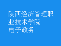 電子政務