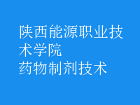 藥物制劑技術