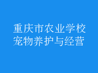 寵物養(yǎng)護(hù)與經(jīng)營(yíng)