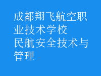 民航安全技術(shù)與管理